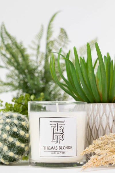 Joshua Tree Candle 12 oz.