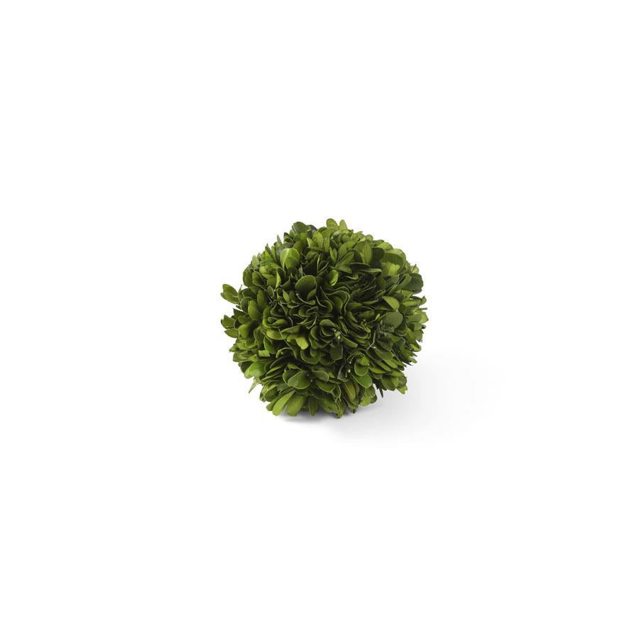 Preserved Boxwood Mini Ball