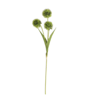 Ball Flower Stem