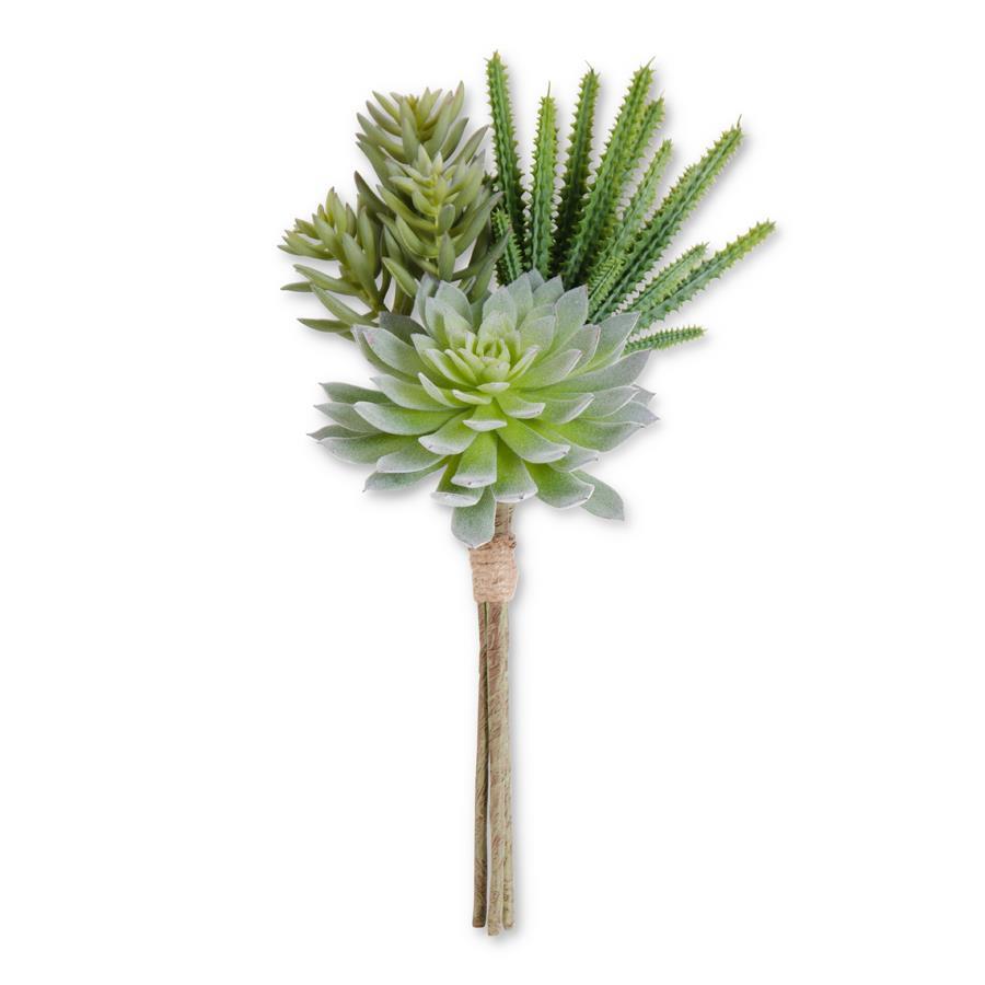 Green Succulent Bundle