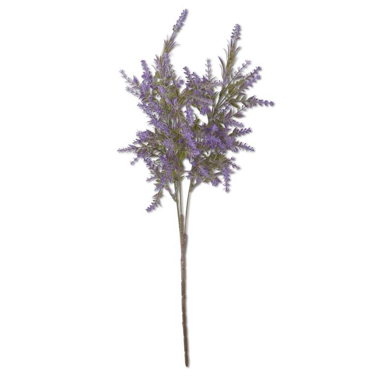 Lavender Stem