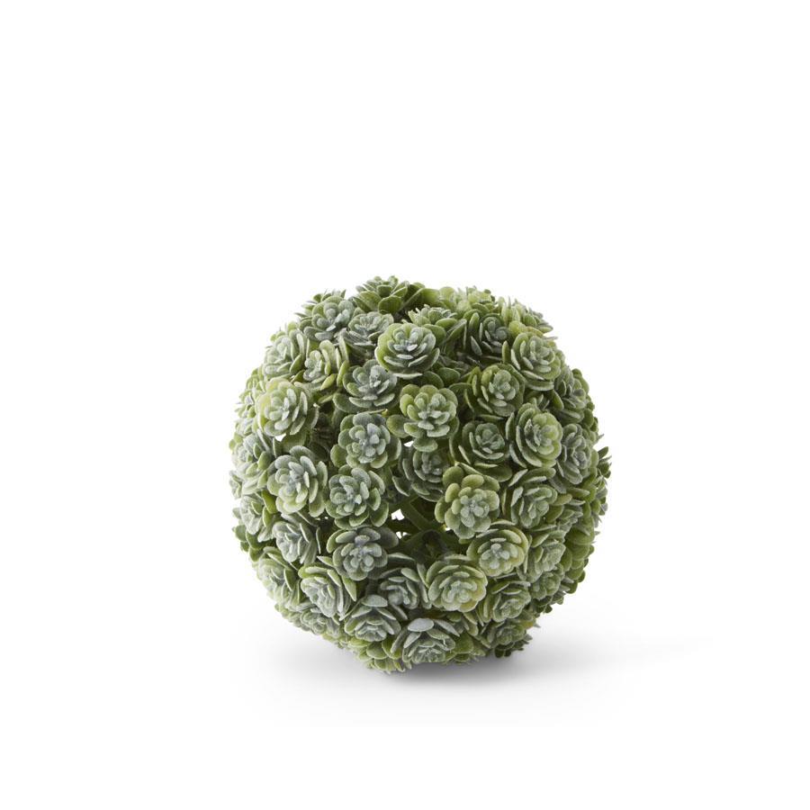 Light Succulent Ball